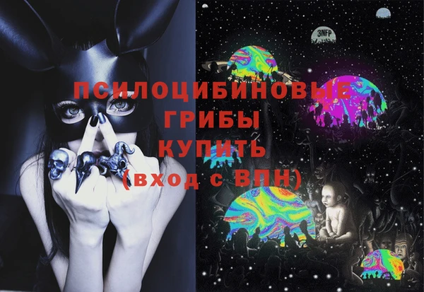 марки nbome Новозыбков