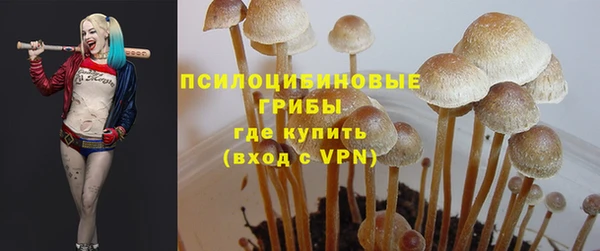 дживик Новокубанск