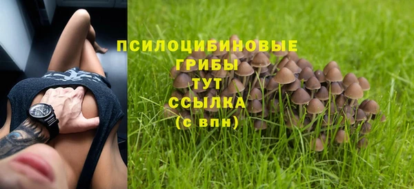марки nbome Новозыбков