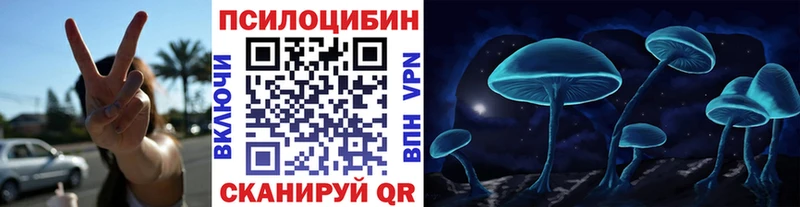 Псилоцибиновые грибы прущие грибы  купить наркотики сайты  Ртищево 