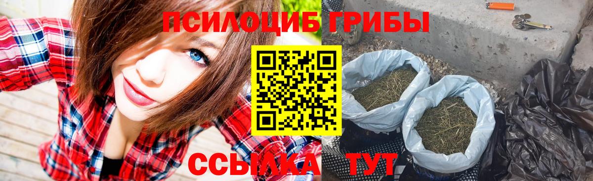 Псилоцибиновые грибы GOLDEN TEACHER  Ртищево 