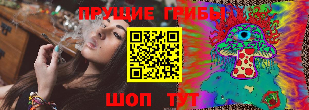 Ртищево  Псилоцибиновые грибы Psilocybine cubensis  Вход с VPN  где найти   Псилоцибиновые грибы Cubensis 