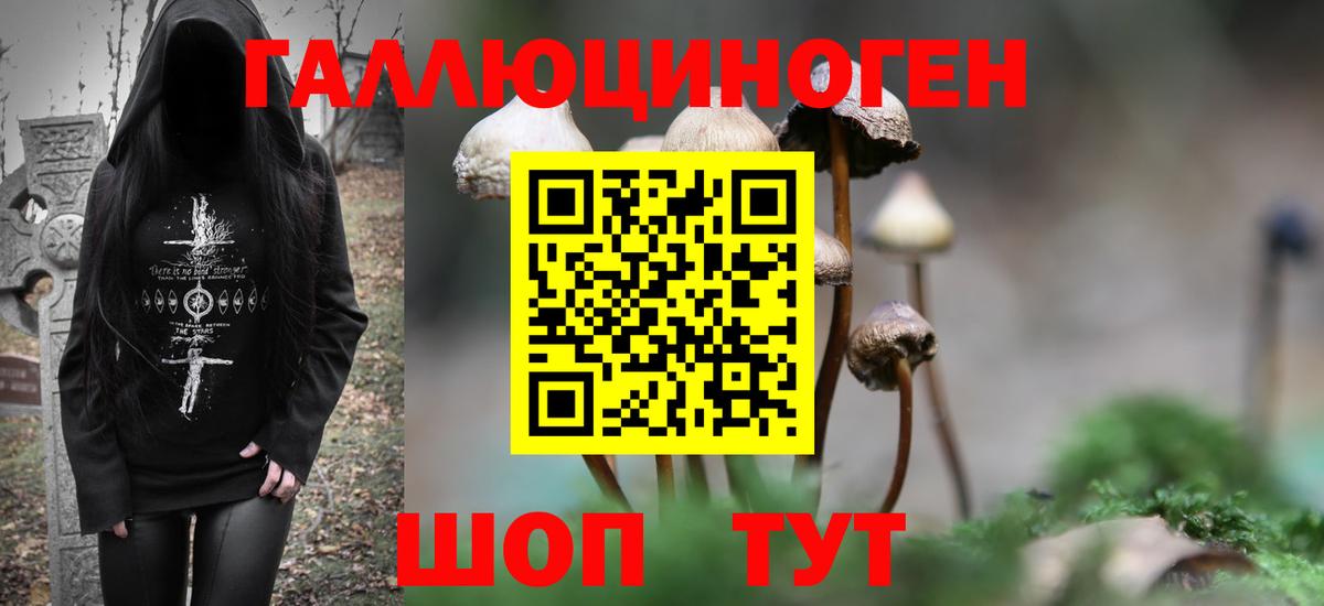 Галлюциногенные грибы GOLDEN TEACHER Ртищево